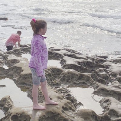 Why You Should Visit the La Jolla Tide Pools