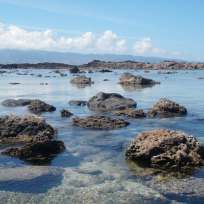 The Good, The Bad, and The Ugly of Shark’s Cove Snorkeling on Oahu